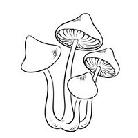 narcotic-mushroom-coloring-vector-20962379